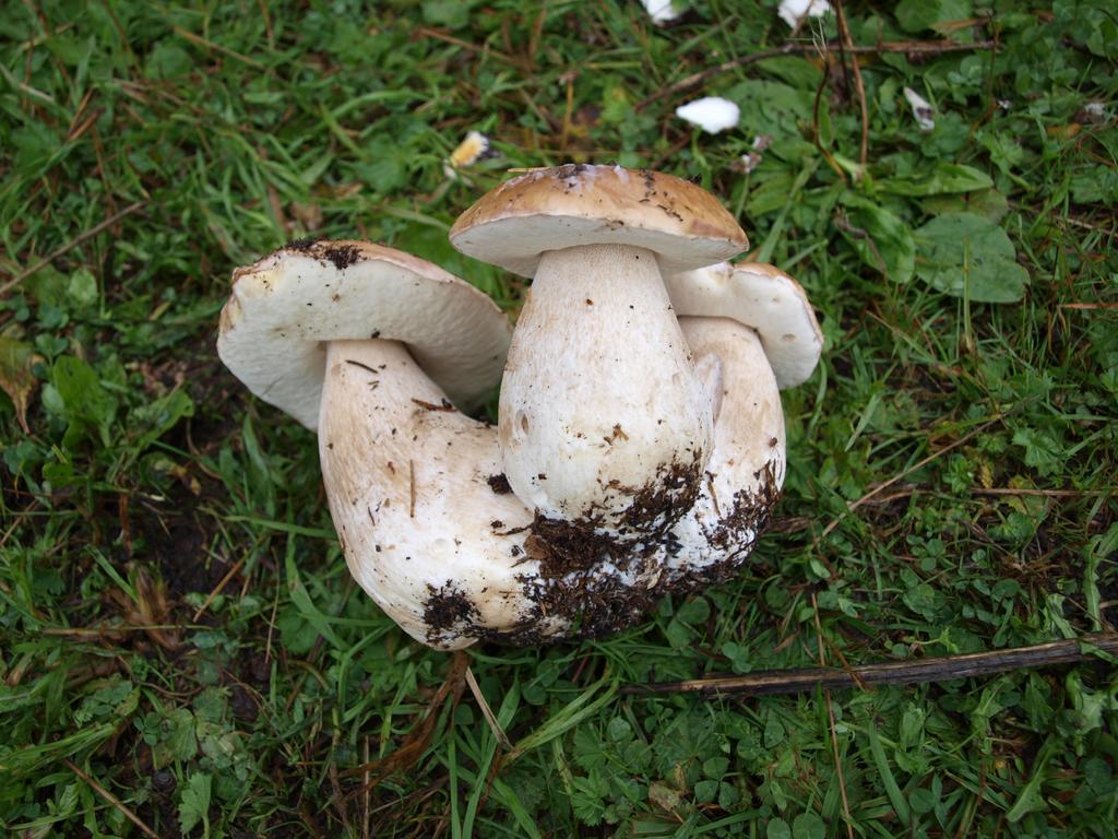 Penzion Koruna Nitrianske Rudno Exterior foto